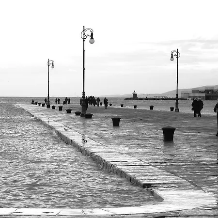 Piazza Grande Trieste
