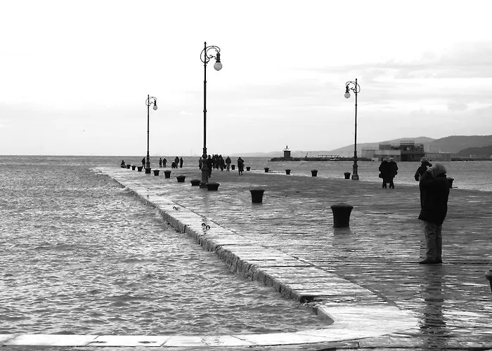 Piazza Grande Trieste